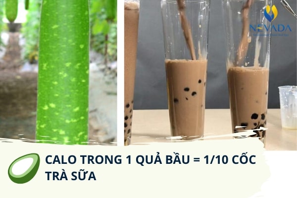 bầu luộc bao nhiêu calo, bầu bao nhiêu calo, quả bầu bao nhiêu calo, ăn bầu luộc có giảm cân không, 100g bầu bao nhiêu calo, 1 quả bầu bao nhiêu calo, quả bầu chứa bao nhiêu calo, quả bầu có bao nhiêu calo, 100g bầu chứa bao nhiêu calo, canh bầu bao nhiêu calo, calo trong bầu luộc, ăn bầu có béo ko, trái bầu bao nhiêu calo, bầu xào bao nhiêu calo, trái bầu calo, calo trong bầu, calo trong quả bầu, trái bầu bao nhiều calo, 100gr bầu bao nhiêu calo, bầu có bao nhiêu calo, canh bầu nấu tôm bao nhiêu calo, bầu chứa bao nhiêu calo, 1 trái bầu bao nhiêu calo, bầu calo, ăn bầu giảm cân, ăn quả bầu có giảm cân không, giảm cân bằng bầu luộc, ăn bầu có giảm cân không